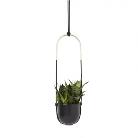 Bolo Planter - Black