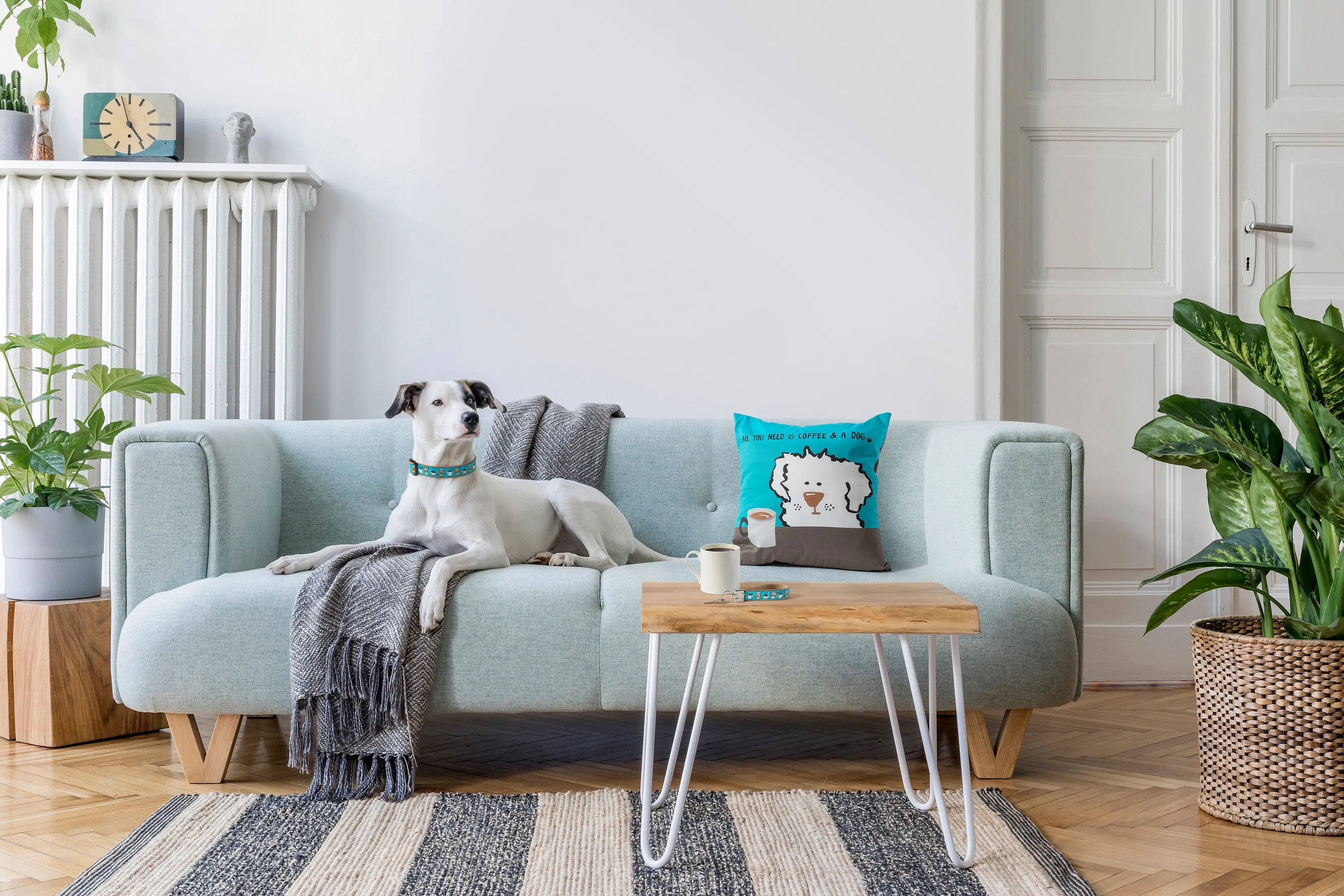 Accent Pillow | All You Need Is Coffee And A Dog