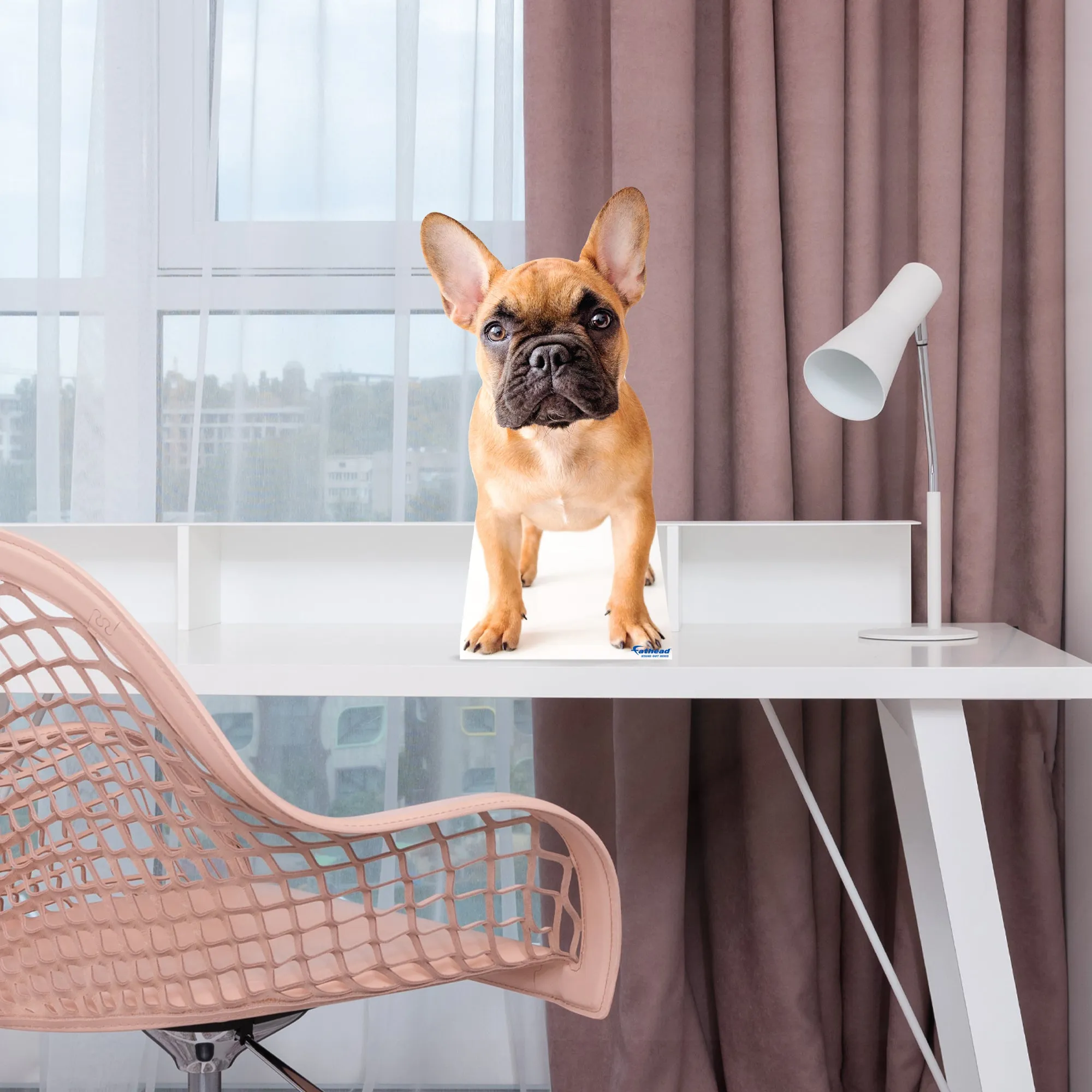 Animals: French Bulldog Mini Cardstock Cutout - Stand Out