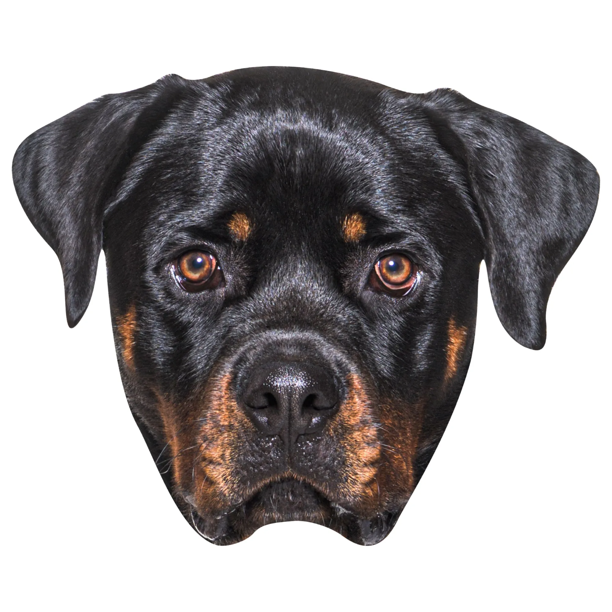 Animals: Rottweiler Foam Core Cutout - Big Head