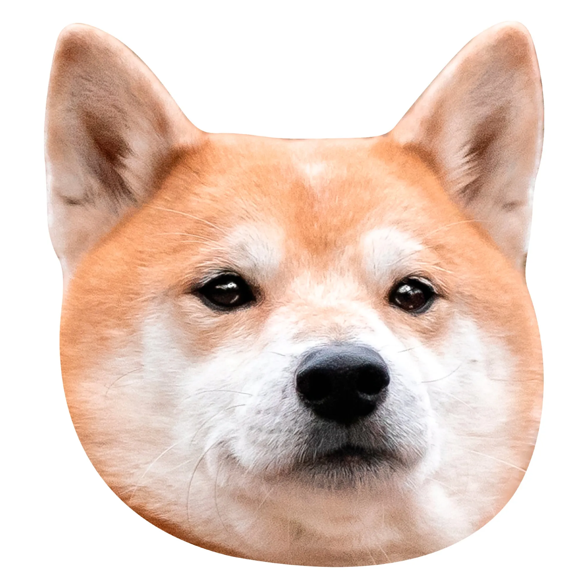 Animals: Shiba Inu Foam Core Cutout - Big Head