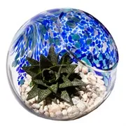 Atlantic Blue Terrarium Orb