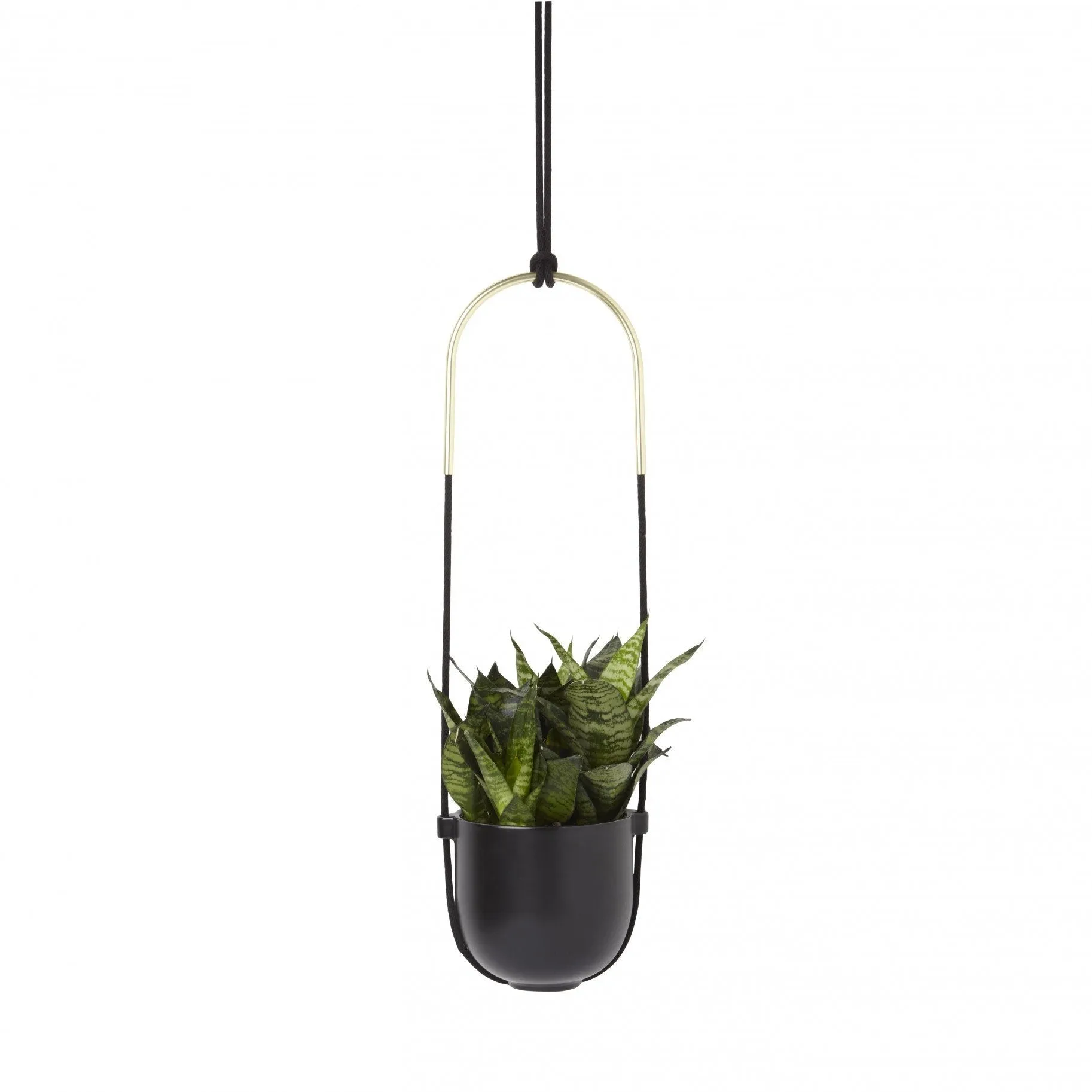 Bolo Planter - Black