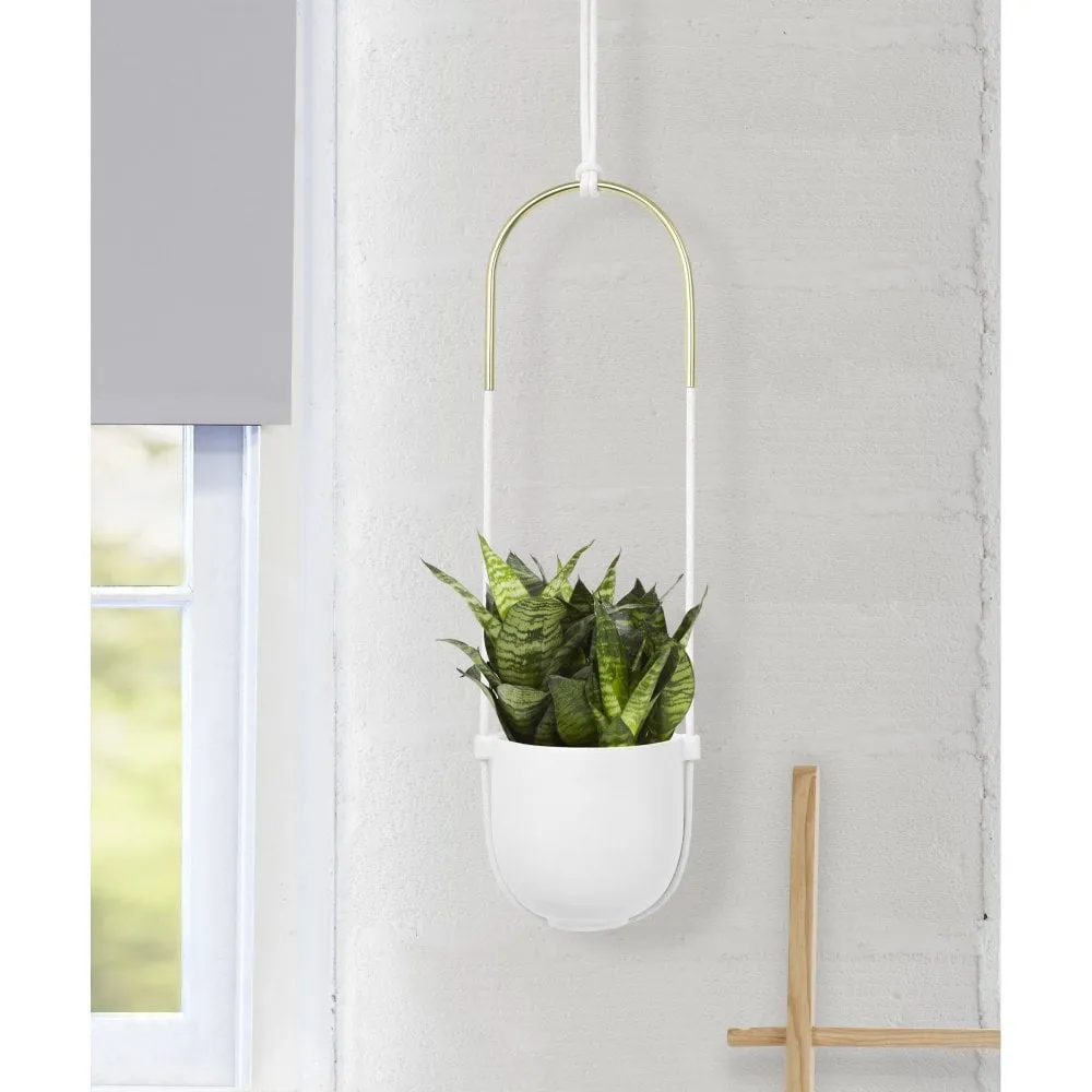 Bolo Planter - Black