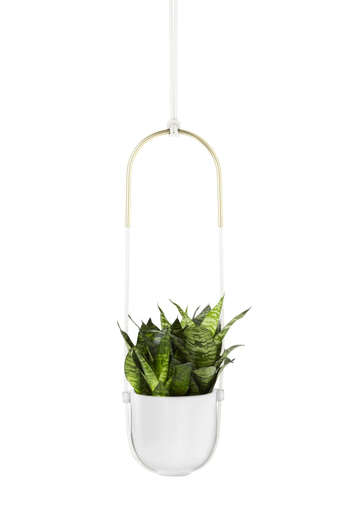 Bolo Planter - Black