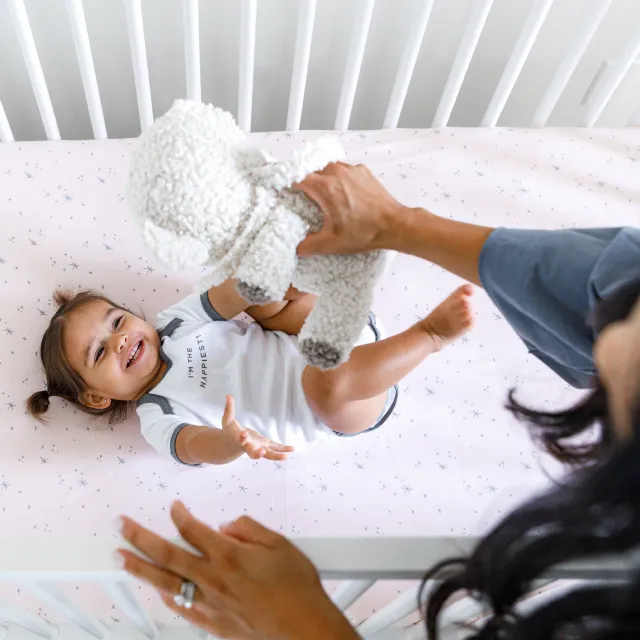 DreamBreeZzz 2-in-1 Crib Mattress™