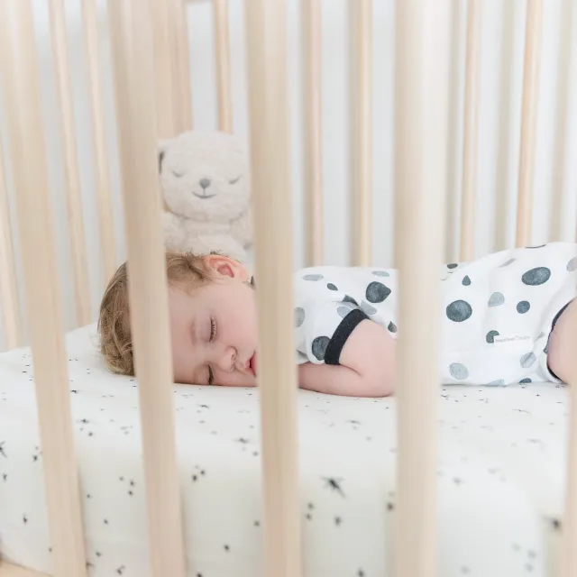 DreamBreeZzz 2-in-1 Crib Mattress™