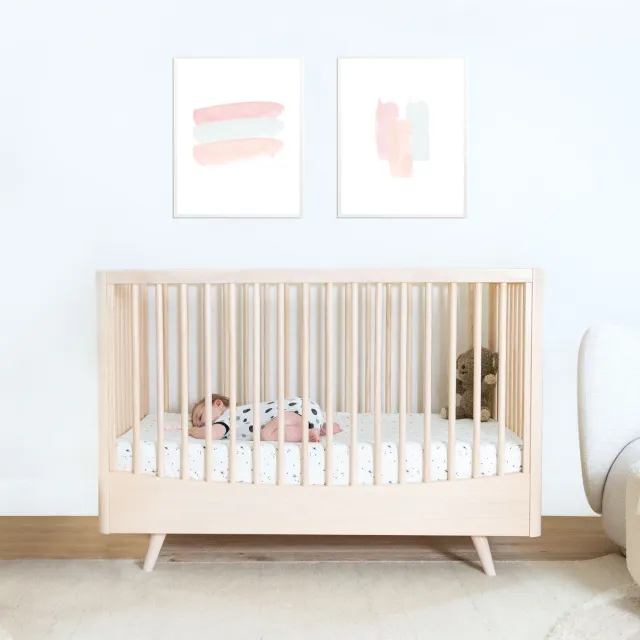 DreamBreeZzz 2-in-1 Crib Mattress™