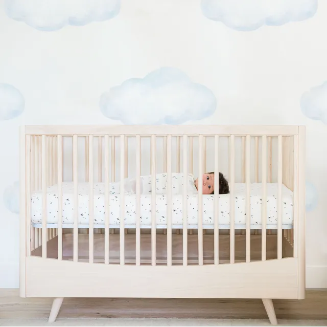 DreamBreeZzz 2-in-1 Crib Mattress™