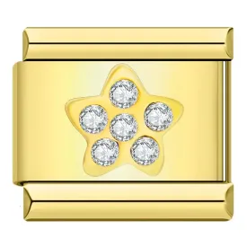 Gold Star and White Stones