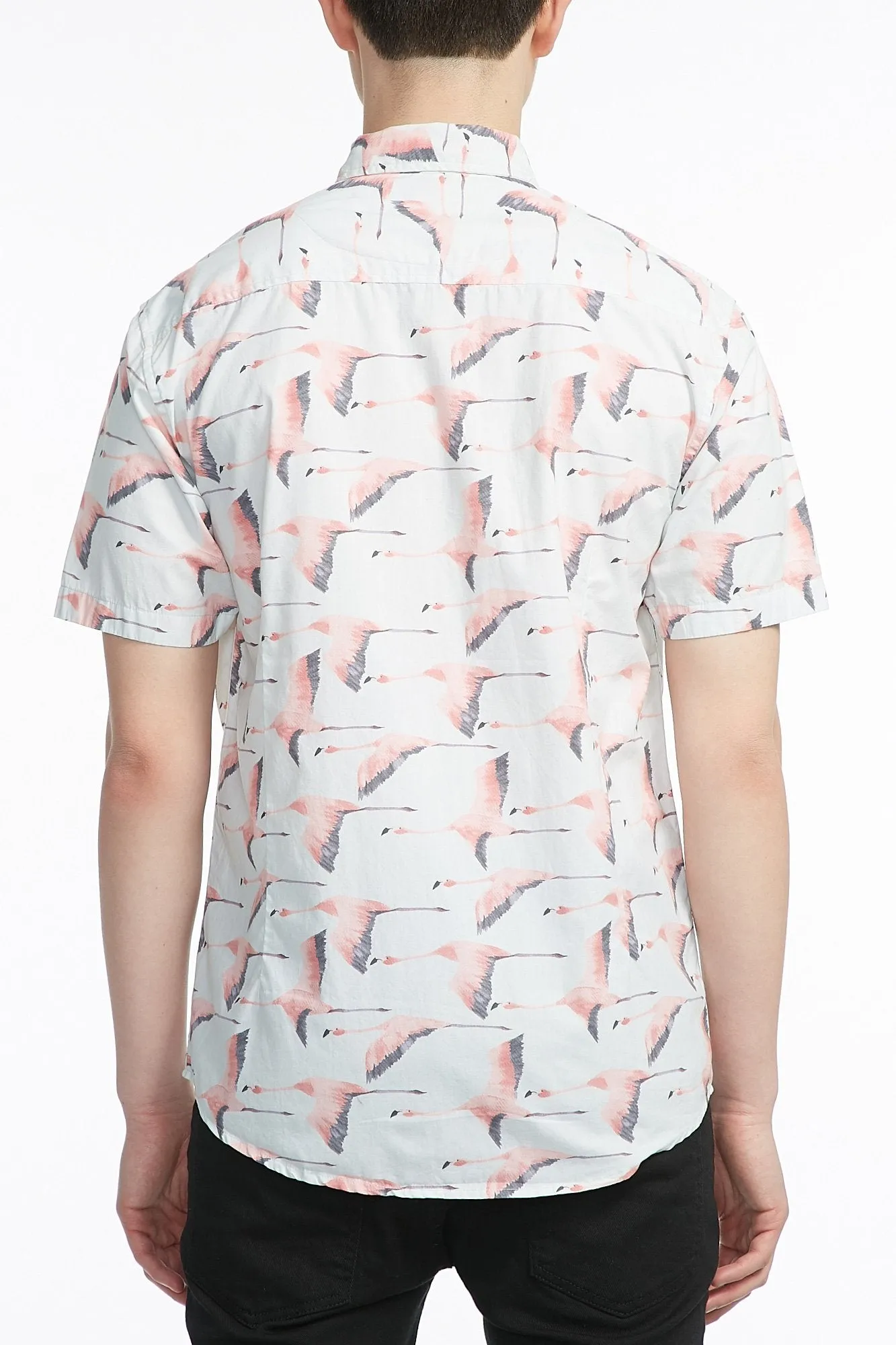 Guys Poplin Flying Flamingos Button Up Shirt