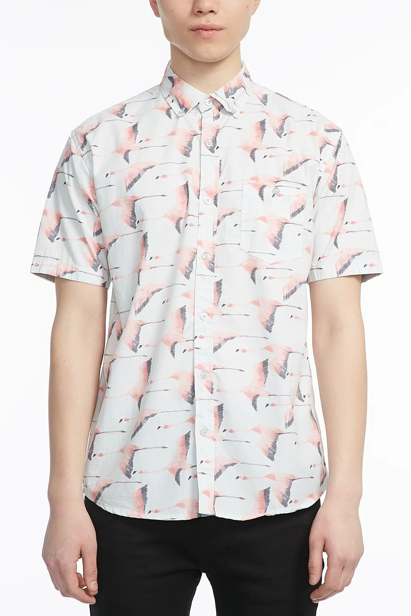 Guys Poplin Flying Flamingos Button Up Shirt