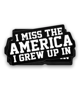 I Miss The America I Grew Up In Decal