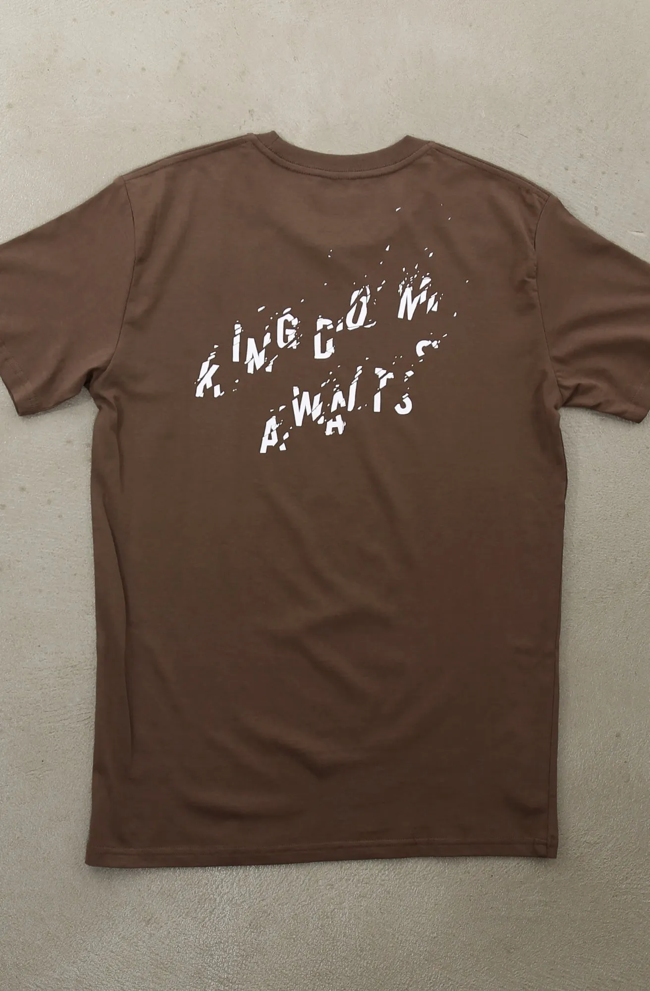 Kingdom Awaits (Men's Walnut A1 Tee)