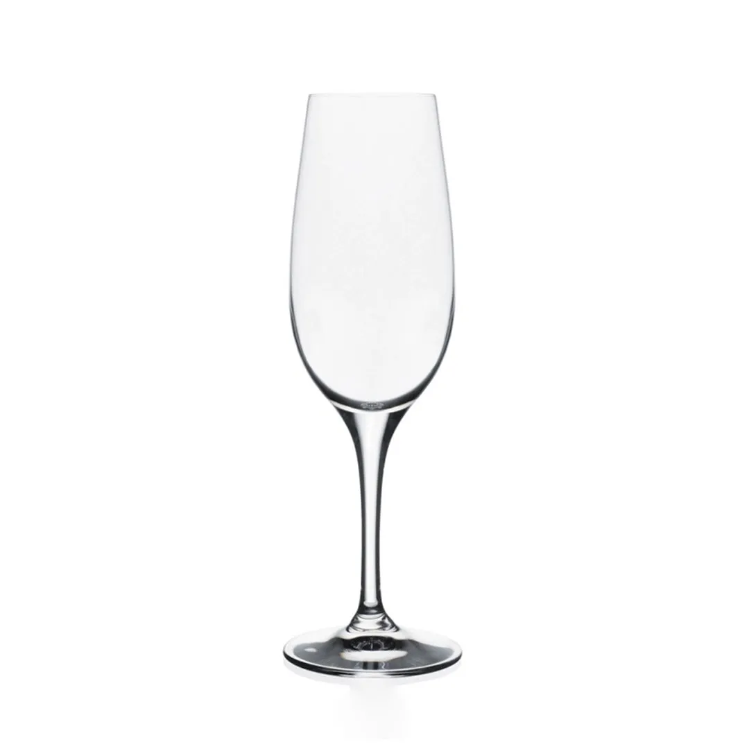 Modesta Champagne Glass