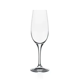 Modesta Champagne Glass