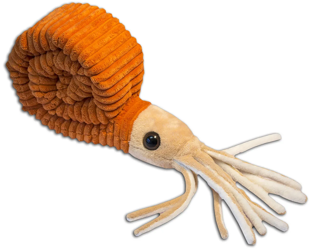 Paleozoic Pals Ammonoid Plush