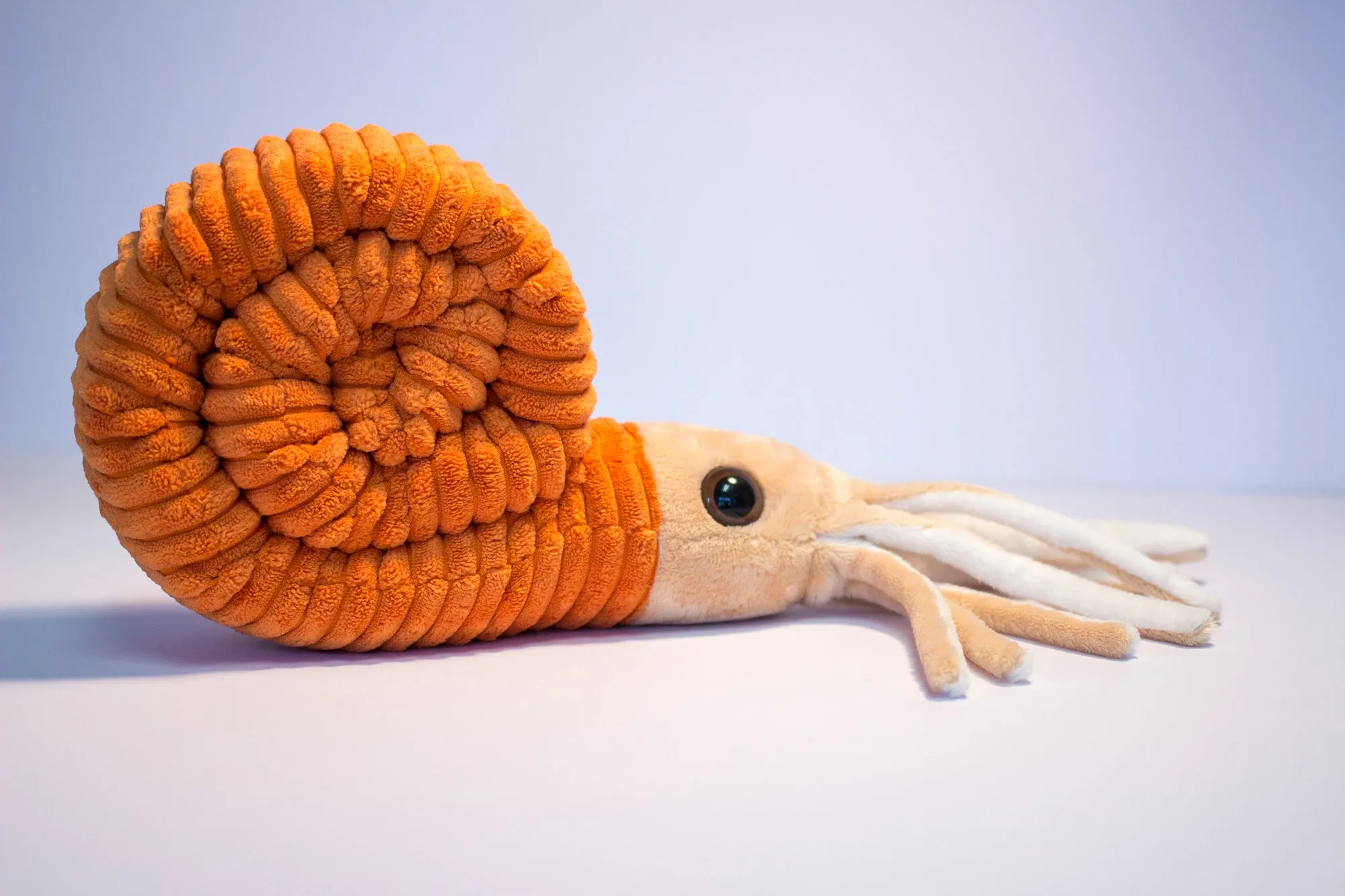 Paleozoic Pals Ammonoid Plush