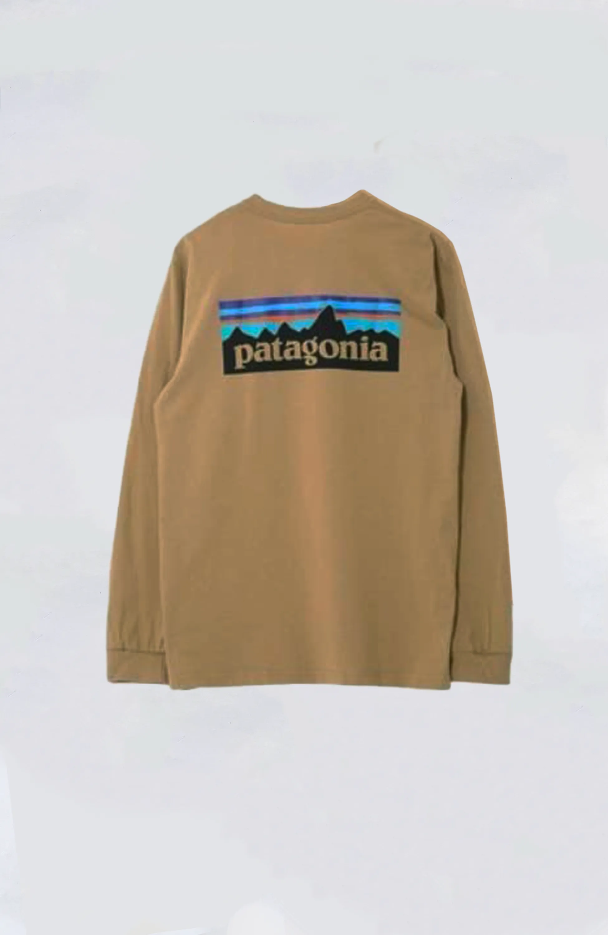 Patagonia - M's L/S P-6 Logo Responsibili-Tee