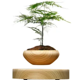 Wooden Levitating Planter